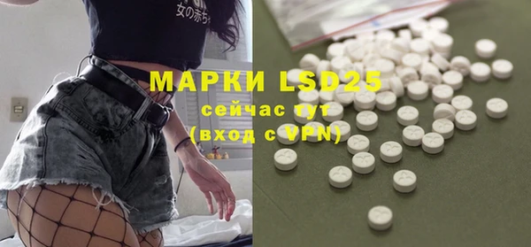 PSILOCYBIN Баксан