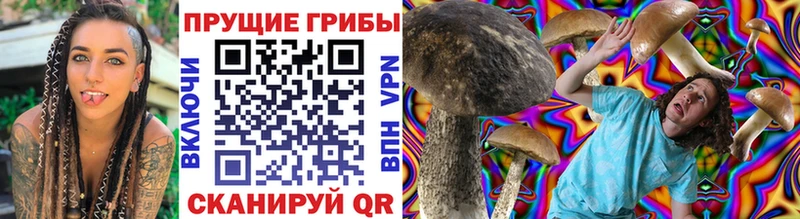 Псилоцибиновые грибы Cubensis  что такое   MEGA ТОР  Шагонар 